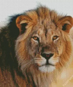 Wild Lion Animals Diamond Painting