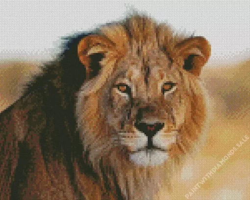 Wild Lion Animals Diamond Painting