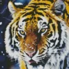 Winter Tiger Diamond Painting