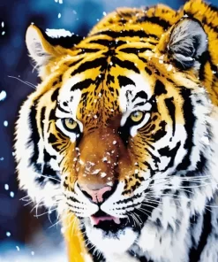 Winter Tiger Diamond Painting