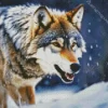 Wolf In Snow Diamond Painting