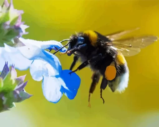 Working Honeybee Diamond Painting