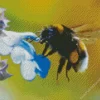 Working Honeybee Diamond Painting