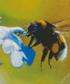 Working Honeybee Diamond Painting