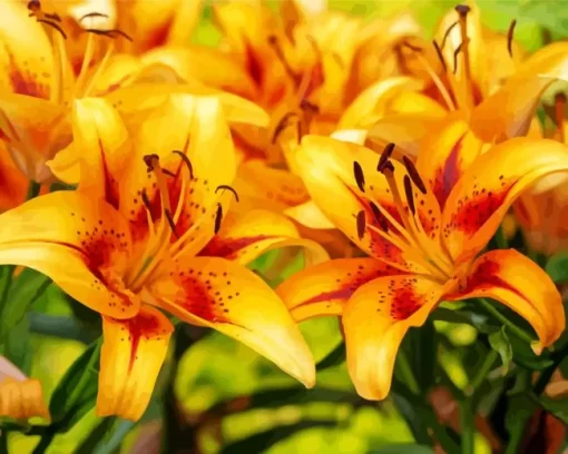 Yellow Asiatic Lilies Diamond Painting