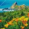 Yellow California Poppy Diamond Painting