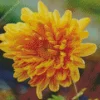 Yellow Chrysanthemum Diamond Painting