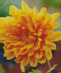 Yellow Chrysanthemum Diamond Painting