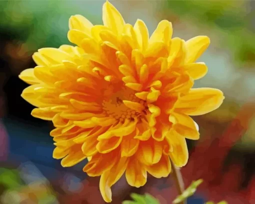 Yellow Chrysanthemum Diamond Painting