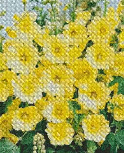 Yellow Hollyhocks Diamond Painting