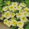 Yellow Petunia Bouquet Diamond Painting