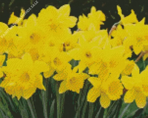 Yellow Trumpet Daffodils Diamond Painting