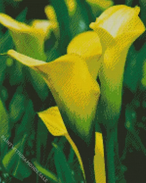 Yellow Calla Lily Diamond Painting