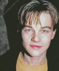 Young Leonardo DiCaprio Diamond Painting