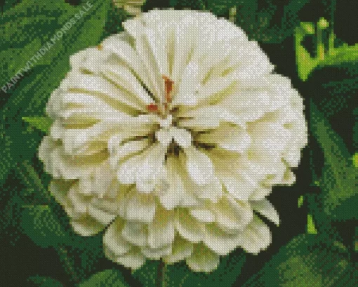 Zinnia Polar Bear Diamond Painting