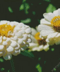 Zinnia Polar Bear Close Up Diamond Painting