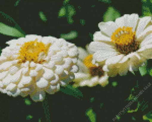 Zinnia Polar Bear Close Up Diamond Painting