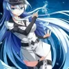 Akame Ga Kill Esdeath Diamond By Numbers