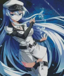 Akame Ga Kill Esdeath Diamond Paints