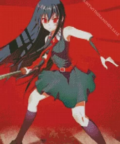 Akame Ga Kill Kurome Character Diamond Paints