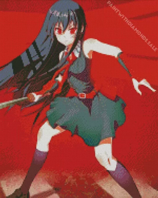 Akame Ga Kill Kurome Character Diamond Paints