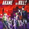 Akame Ga Kill Poster Diamond By Numbers