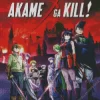 Akame Ga Kill Poster Diamond Paints