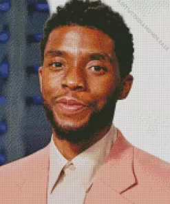 American Actor Chadwick Boseman Diamond Painting