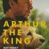 Arthur The King Mark Wahlberg Diamond Painting