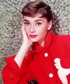 Audrey Hepburn Wearing Red Diamond Painting