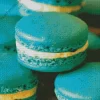 Blueberry Macarons Diamond Painting