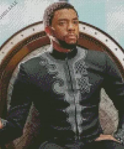 Chadwick Boseman Celebrity Diamond Painting