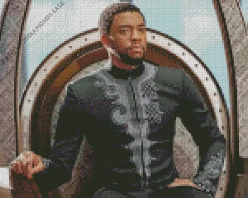 Chadwick Boseman Celebrity Diamond Painting