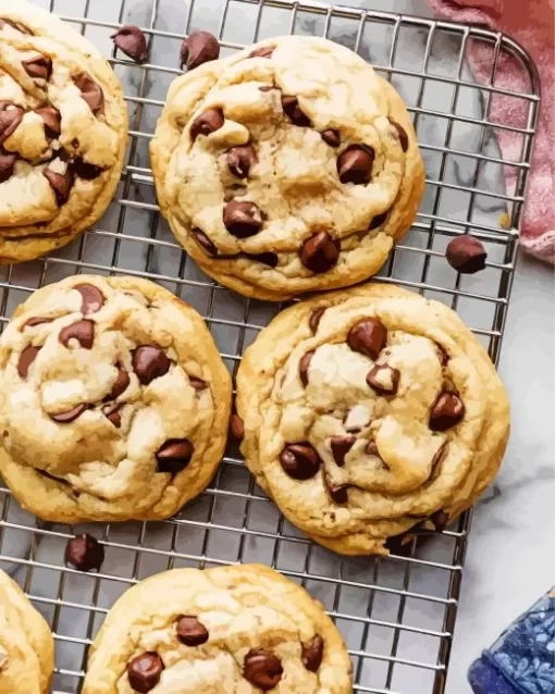 Chewy Chocolate Chip Cookies Diamond Painting