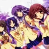 Clannad Anime Diamond By Numbers