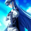 Esdeath Akame Ga Kill Diamond By Numbers