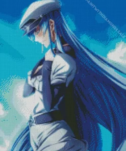 Esdeath Akame Ga Kill Diamond Paints