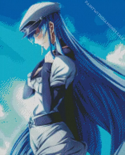 Esdeath Akame Ga Kill Diamond Paints