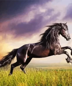 Friesian Horse Diamond Painting