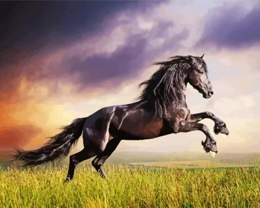 Friesian Horse Diamond Painting