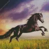 Friesian Horse Diamond Painting