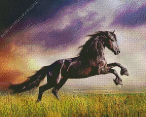 Friesian Horse Diamond Painting