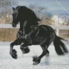 Friesian Horse In Snow Diamond Painting