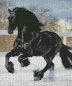 Friesian Horse In Snow Diamond Painting