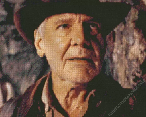 Harrison Ford in Indiana Jones And The Dial Of Destiny Diamond Painting