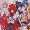 High School DxD Anime Girls Diamond With Numbers