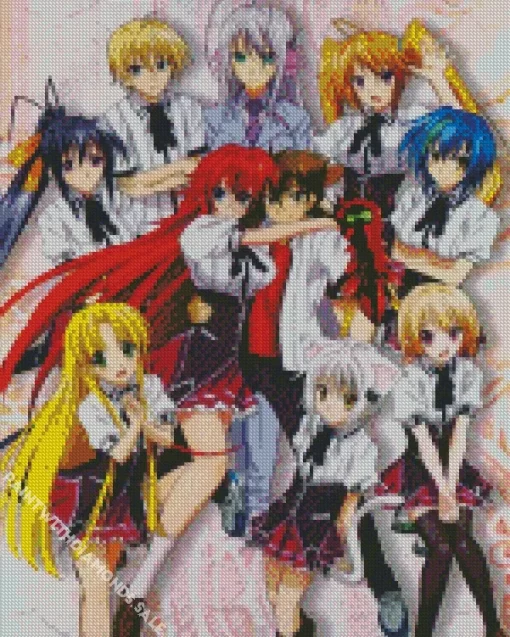 High School DxD0 Diamond With Numbers