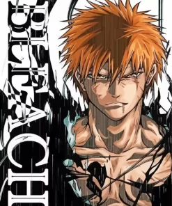 Ichigo Kurosaki Bleach Diamond Paintings