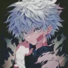 Killua Zoldyck Diamond With Numbers