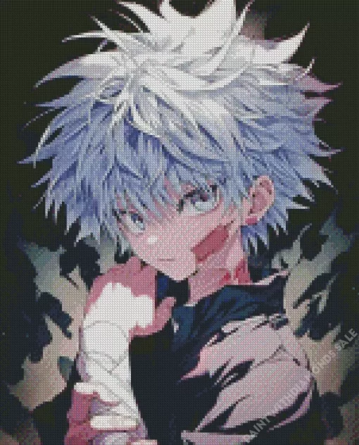 Killua Zoldyck Diamond With Numbers